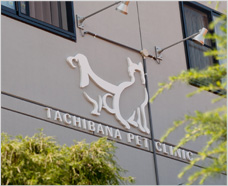 Tachibana Pet Clinic